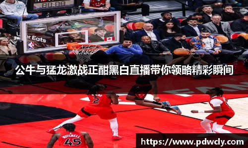 公牛与猛龙激战正酣黑白直播带你领略精彩瞬间