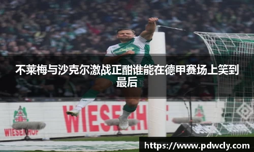 不莱梅与沙克尔激战正酣谁能在德甲赛场上笑到最后