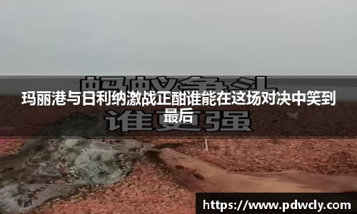 玛丽港与日利纳激战正酣谁能在这场对决中笑到最后
