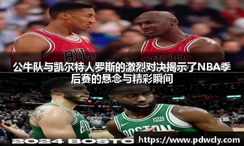 k1体育官网入口