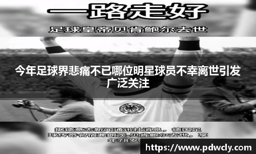 今年足球界悲痛不已哪位明星球员不幸离世引发广泛关注