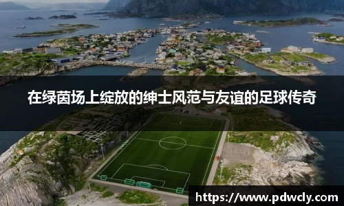 在绿茵场上绽放的绅士风范与友谊的足球传奇